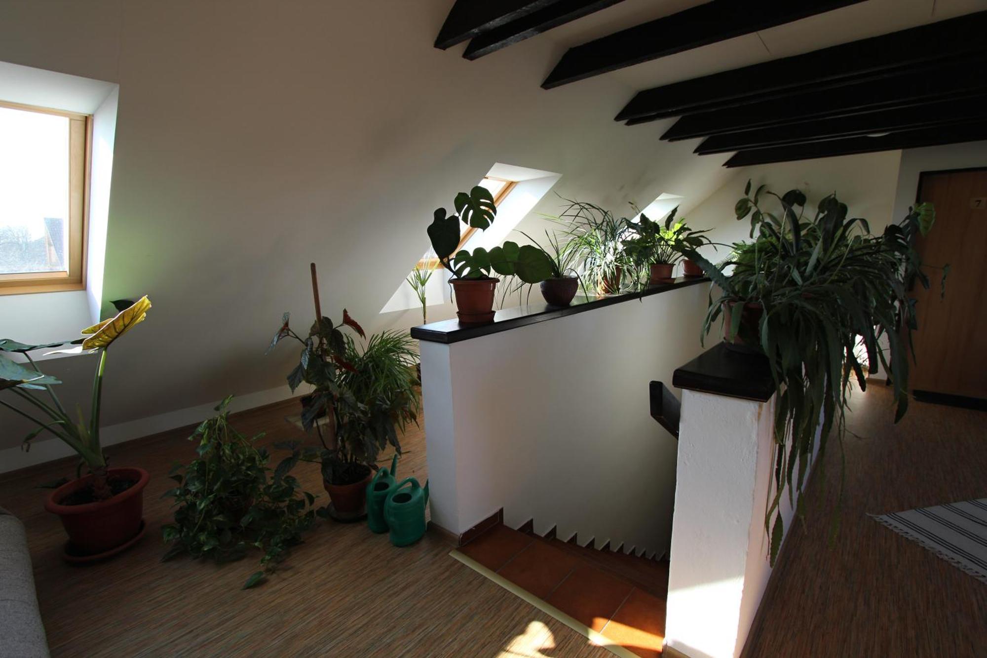 Pension U Svateho Jana Hradec Kralove Exterior photo