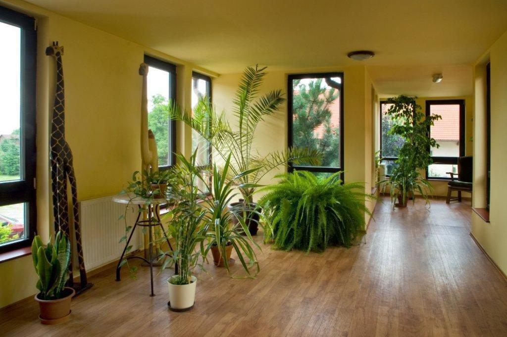 Pension U Svateho Jana Hradec Kralove Exterior photo